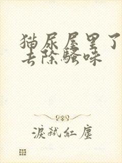 猫尿屋里了怎么去除骚味