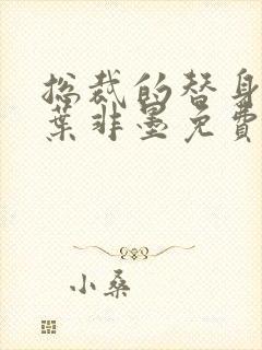 总裁的替身前妻叶非墨免费