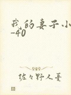 我的妻子小谨1-40封面