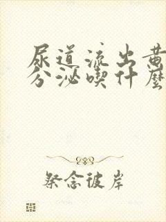 尿道流出黄脓状分泌吃什么药