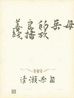 善良的岳母2在线播放封面