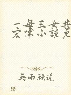 一母三女共一婿宏伟小说免费阅读