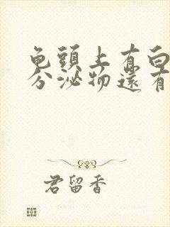 龟头上有白色的分泌物还有臭味封面