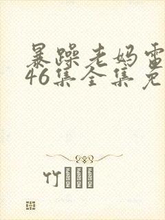 暴躁老妈电视剧46集全集免费播放