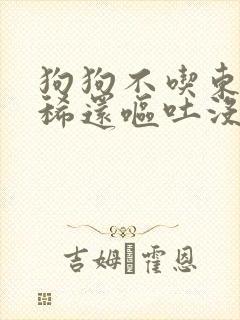 狗狗不吃东西拉稀还呕吐没精神怎么办