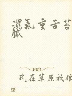 湿气重舌苔白厚腻封面