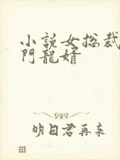 小说女总裁的上门龙婿