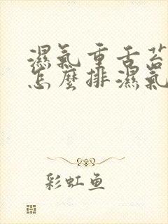 湿气重舌苔白厚怎么排湿气