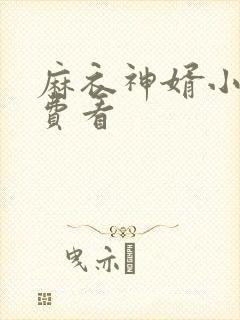 麻衣神婿小说免费看封面