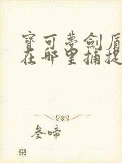 宝可梦剑盾快龙在哪里捕捉