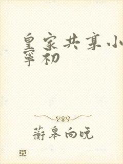 皇家共享小公主宁初