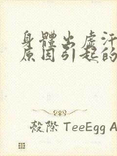 身体出虚汗什么原因引起的