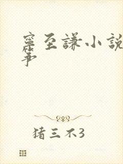 宁至谦小说阮流筝