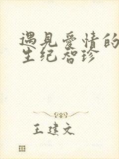遇见爱情的利先生纪智珍封面