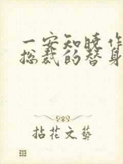 一安知晓作品:总裁的替身前妻封面