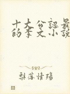 十大公认最好看的李文小说