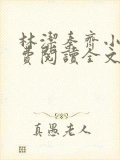 林洁秦齐小说免费阅读全文最新章节