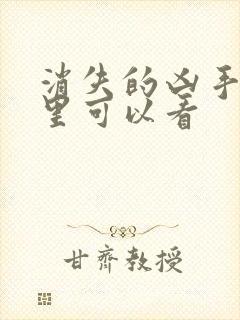 消失的凶手在哪里可以看