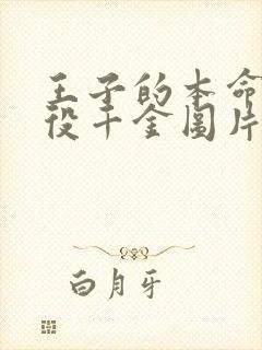 王子的本命是恶役千金图片封面