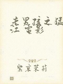 老男孩之猛龙过江 电影