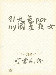 91九色porny国产熟女