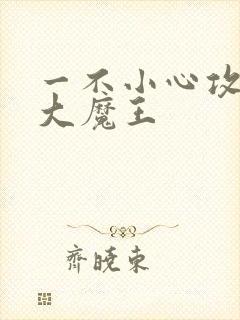 一不小心攻了个大魔王封面