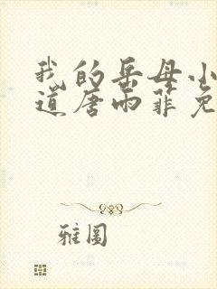 我的岳母小说林道唐雨菲免费阅读封面