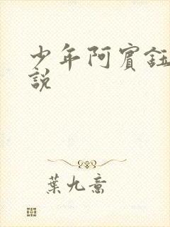 少年阿宾钰慧小说