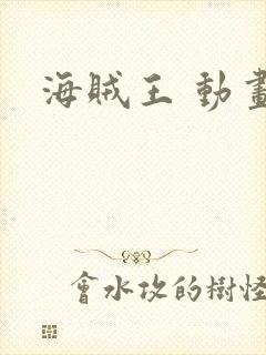 海贼王 动画封面