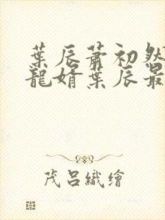 叶辰萧初然上门龙婿叶辰最新章节