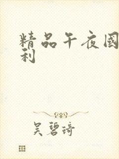 精品午夜国产福利封面