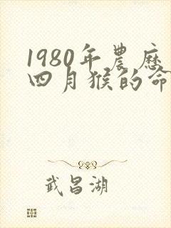 1980年农历四月猴的命运封面
