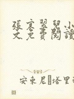 张寒翠儿小说全文免费阅读封面