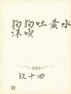 狗狗吐黄水带泡沫吃