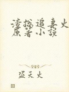 渣总追妻火葬场原著小说