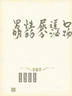 男性尿道口流透明的分泌物