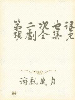 第二次也很美电视剧全集免费观看封面