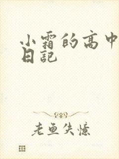 小霜的高中成长日记