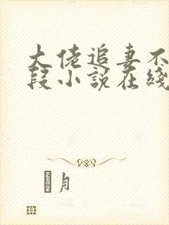 大佬追妻不择手段小说在线