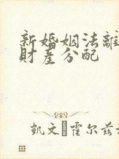 新婚姻法离婚后财产分配