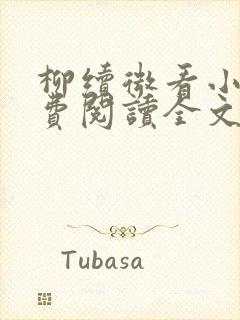 柳续微看小说免费阅读全文封面