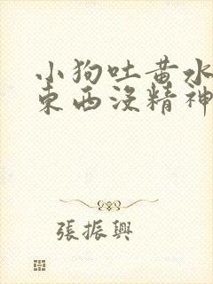 小狗吐黄水不吃东西没精神吃什么药