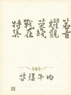 特战荣耀第13集在线观看