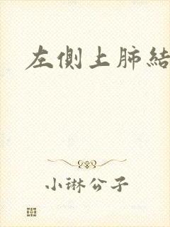 左侧上肺结节影