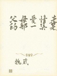 父母爱情老丁死的那一集是哪一集