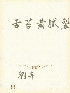 舌苔黄腻裂纹舌