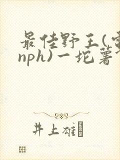 最佳野王(电竞nph)一坨薯饼封面