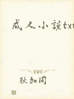 成人小说txt