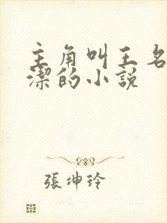 主角叫王名浩李洁的小说封面