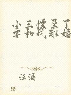 小三怀孕了老公要和我离婚我该怎么办